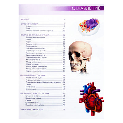 Габриэль Билич "Анатомия человека: большой популярный атлас"
