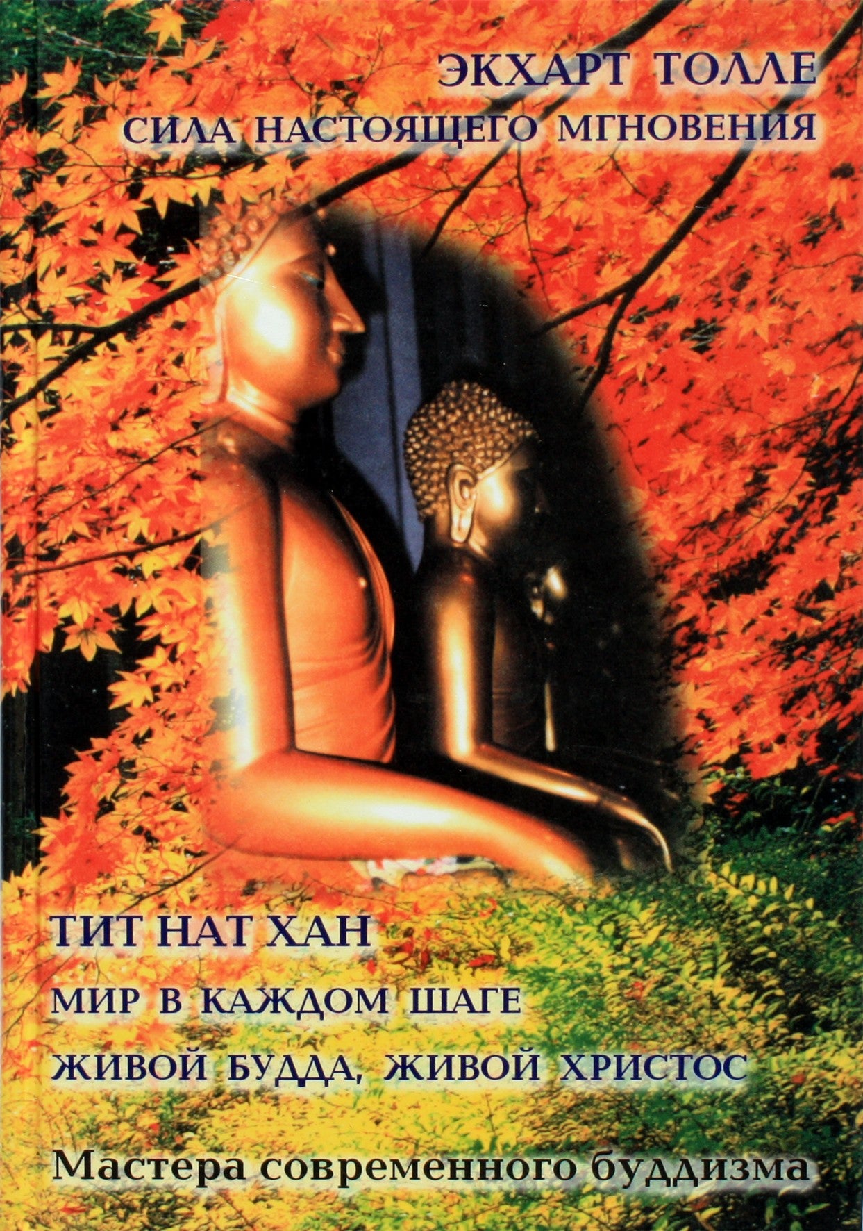 Tolle Eckhart „Dabarties galia“