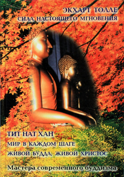 Tolle Eckhart „Dabarties galia“