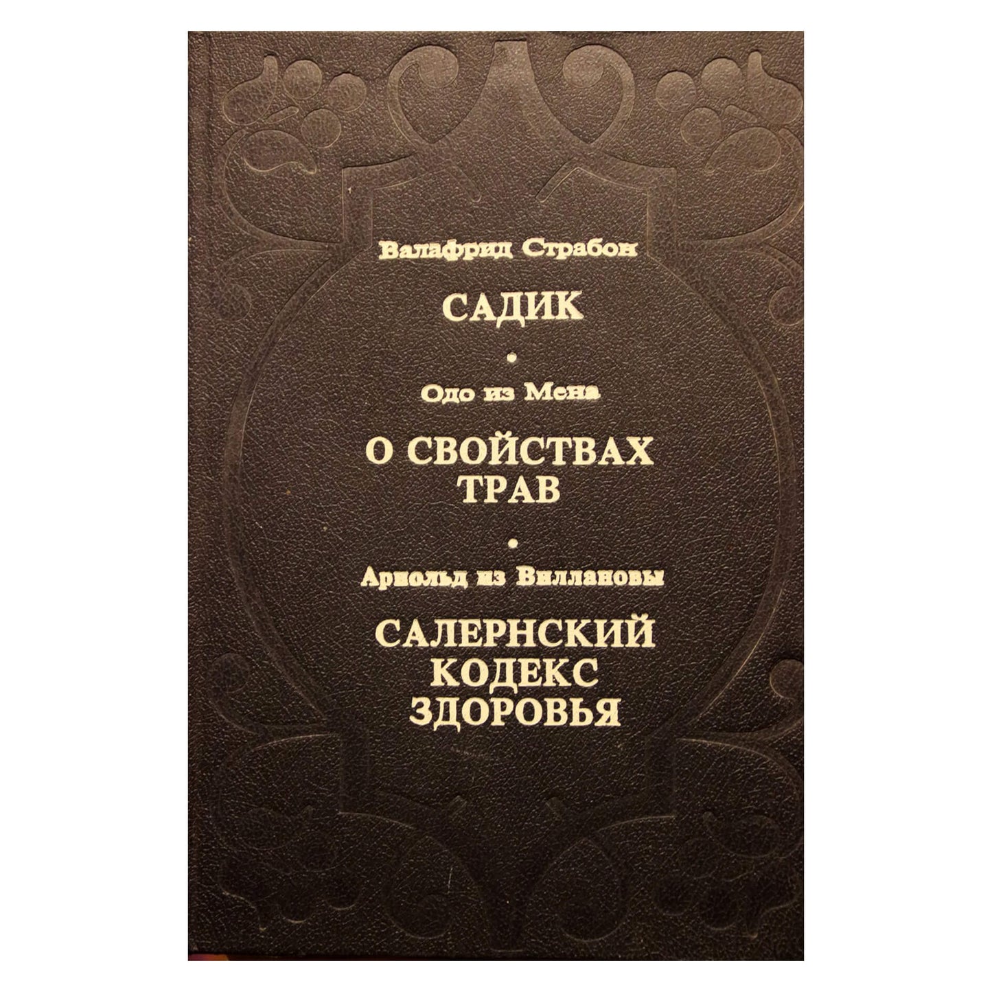 Валафрид Страбон "Садик"