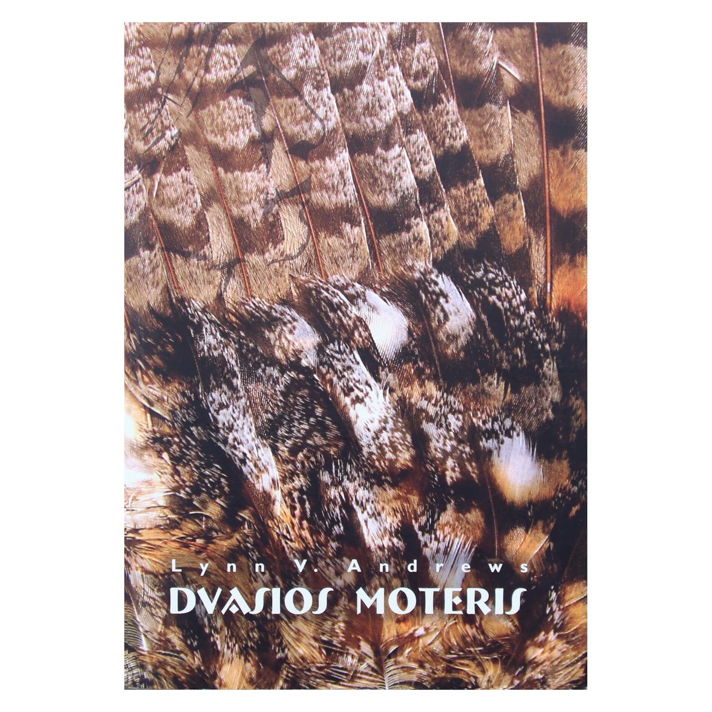 Lynn Andrews "Dvasios moteris"