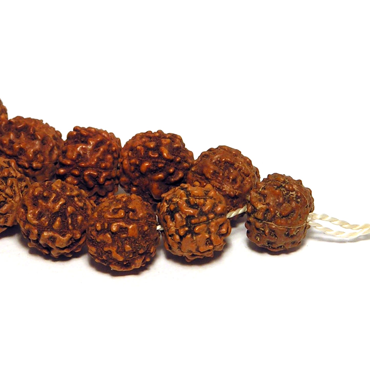 Чётки из рудракши средние, (108 бусин)