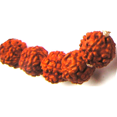 Чётки из рудракши мелкие, (108 бусин)