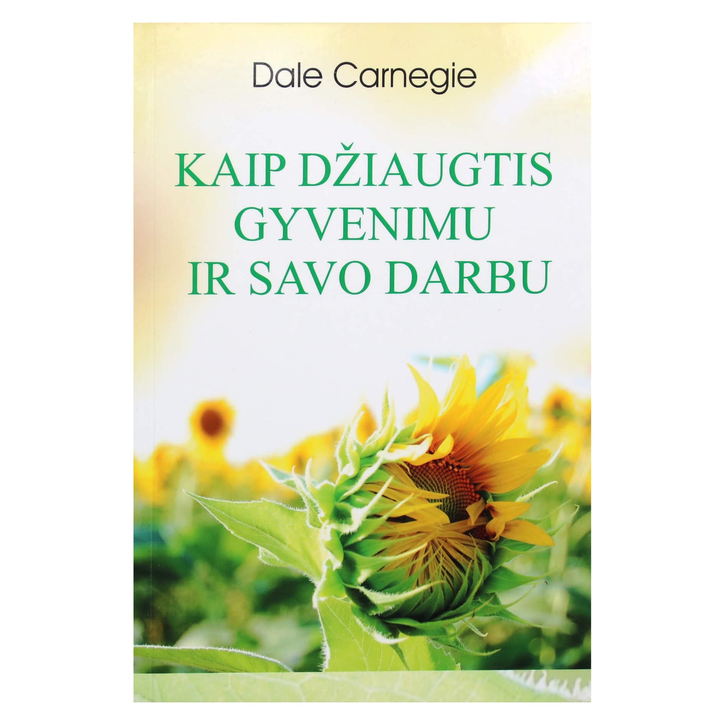 Dale Carnegie "Kaip džiaugtis gyvenimu ir savo darbu"