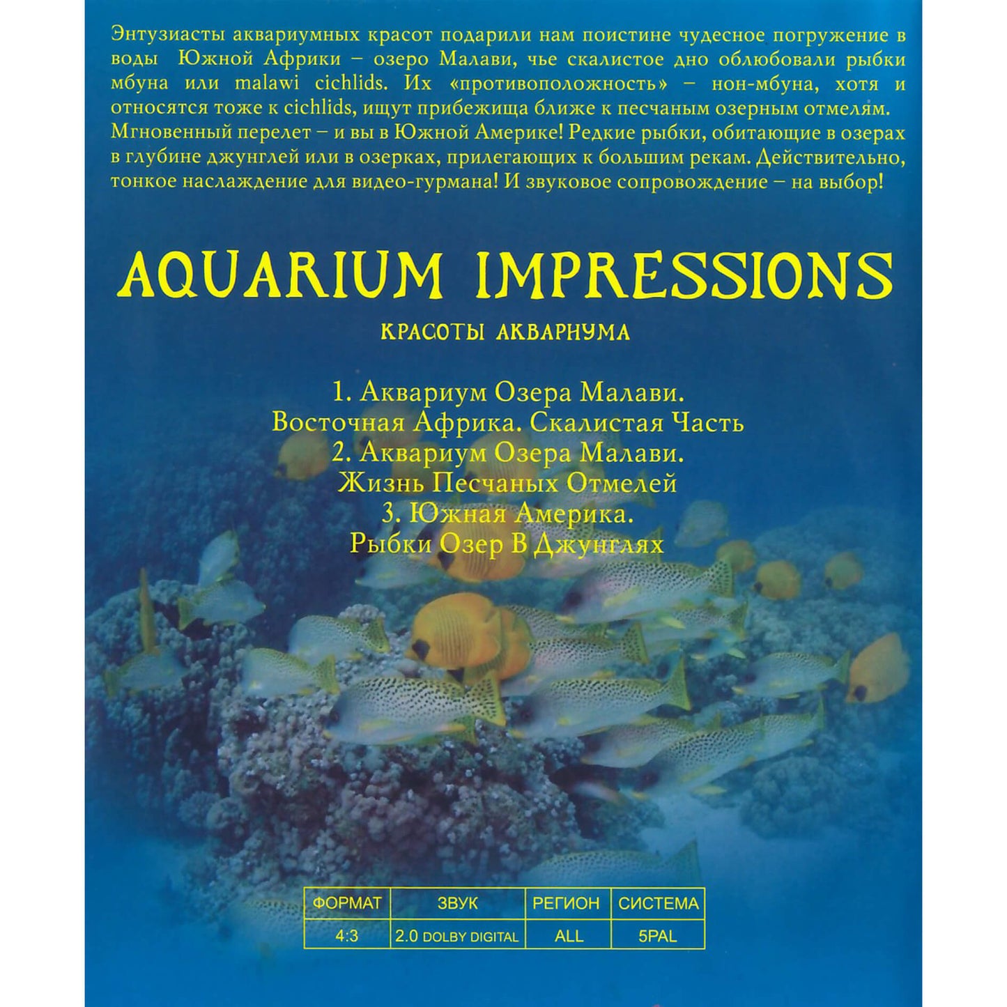 Aquarium Impressions / Красоты аквариума