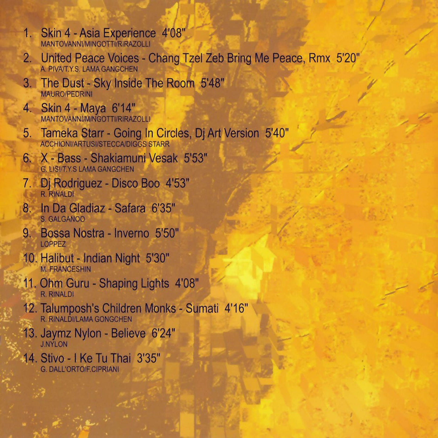 Various Artists / Ethno Bar 2