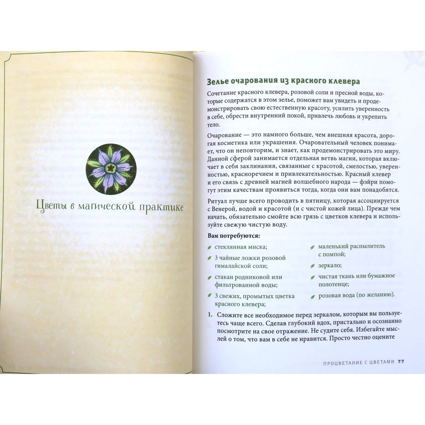 Paige Vanderbeck "Žalioji raganystė. Kaip atrasti gėlių, žolelių, medžių, kristalų ir kt. magiją: praktinis vadovas"