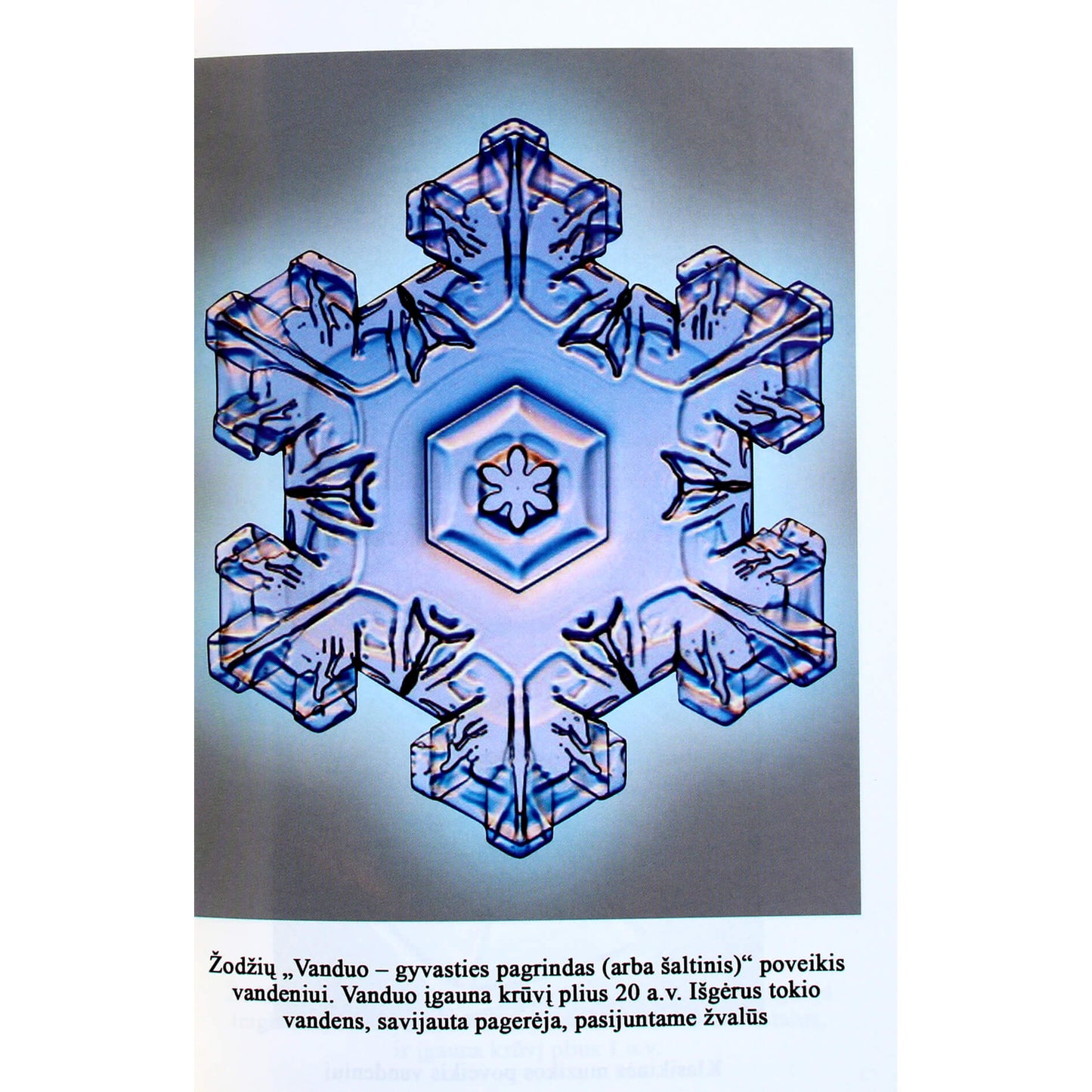 Vladimiras Kivrinas "Vandens energetika"