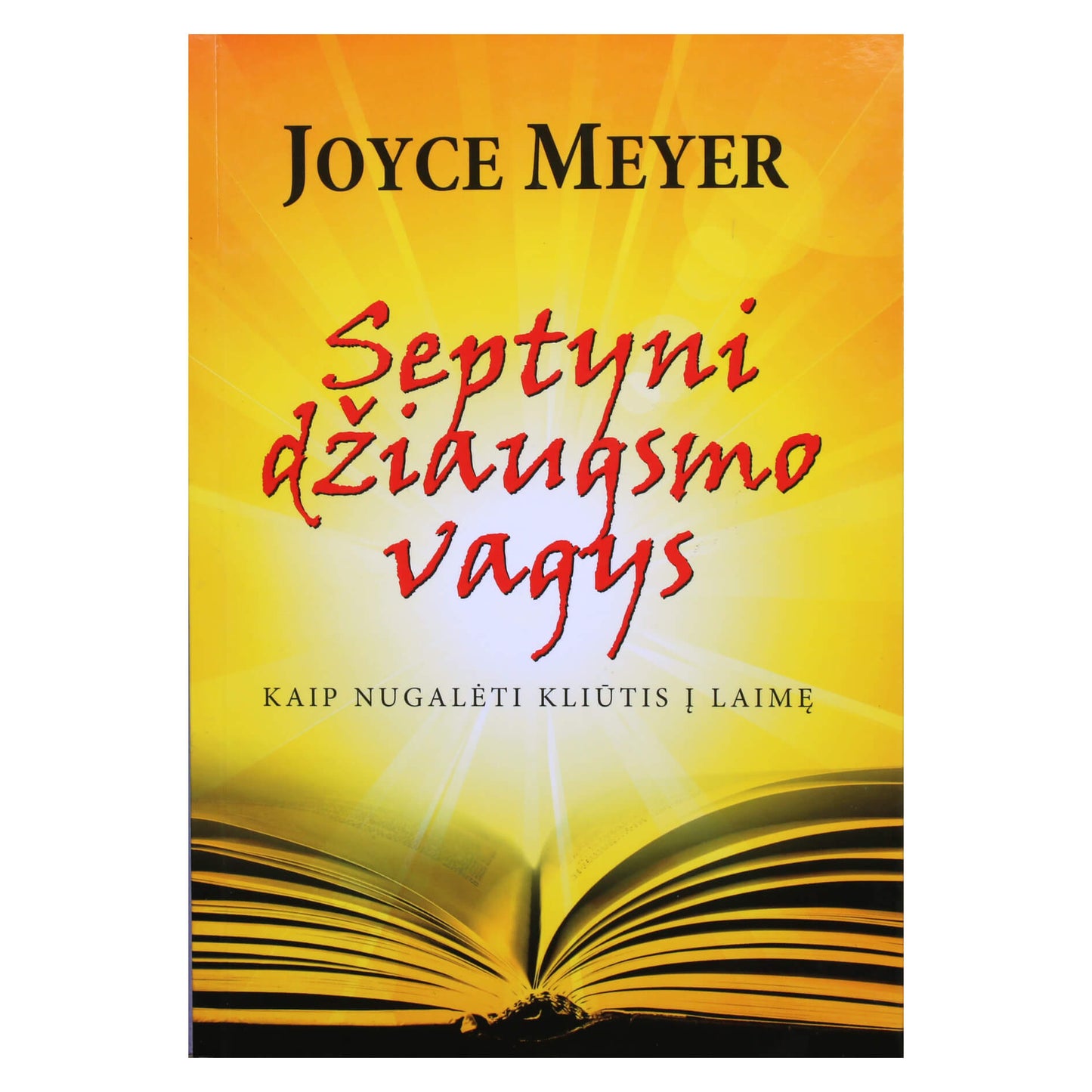 Meyer "Septyni džiaugsmo vagys. Kaip įveikti kliūtis kelyje į laimę"