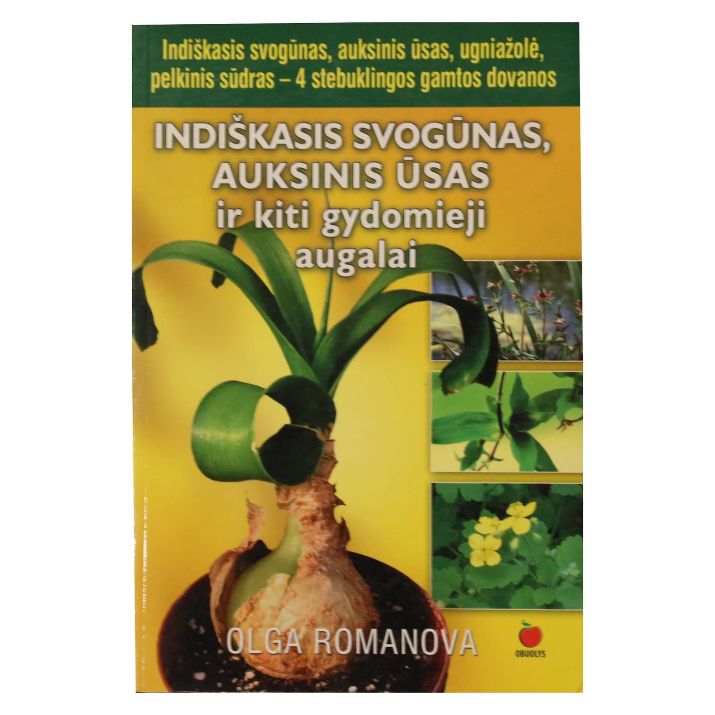 Romanova "Indiškas svogūnas, auksiniai ūsai ir kiti vaistiniai augalai"