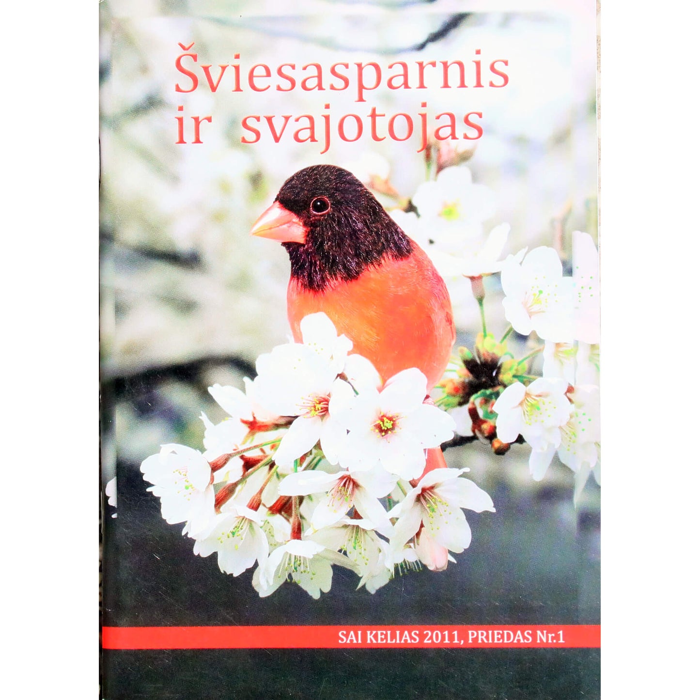 Sai Kelias 2011, priedas 1, Šviesasparnis ir svajotojas