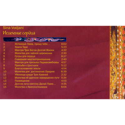 Sina Vodjani / Исцеление сердца