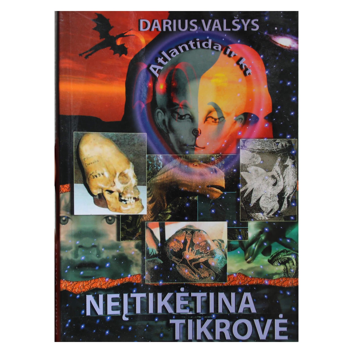 Darius Valšys "Neitikėtina tikrovė"