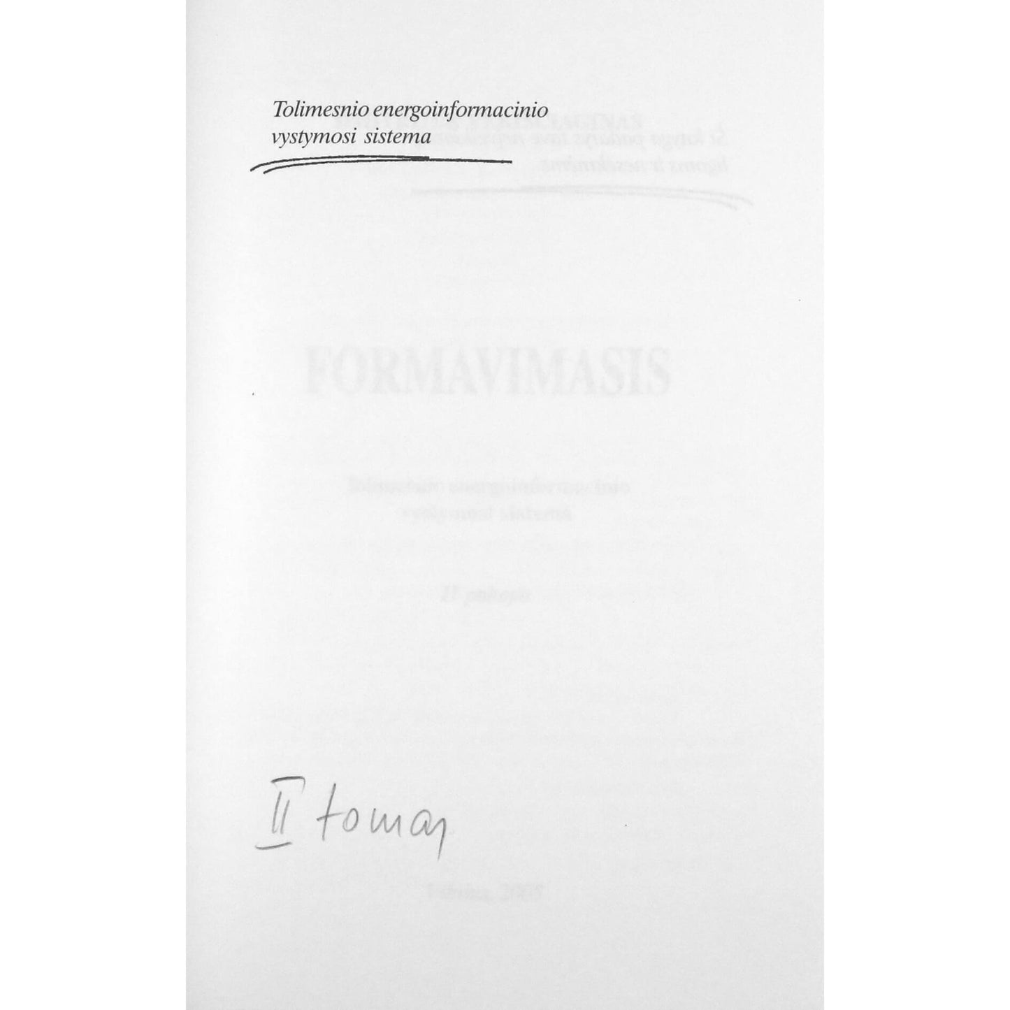 Dmitrijus Veriščiaginas "Formavimas. II pakopa"