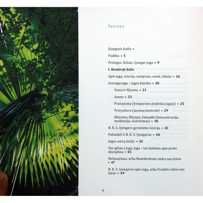 Laimutė Vološkevičienė "Kelias: Iyengar joga"