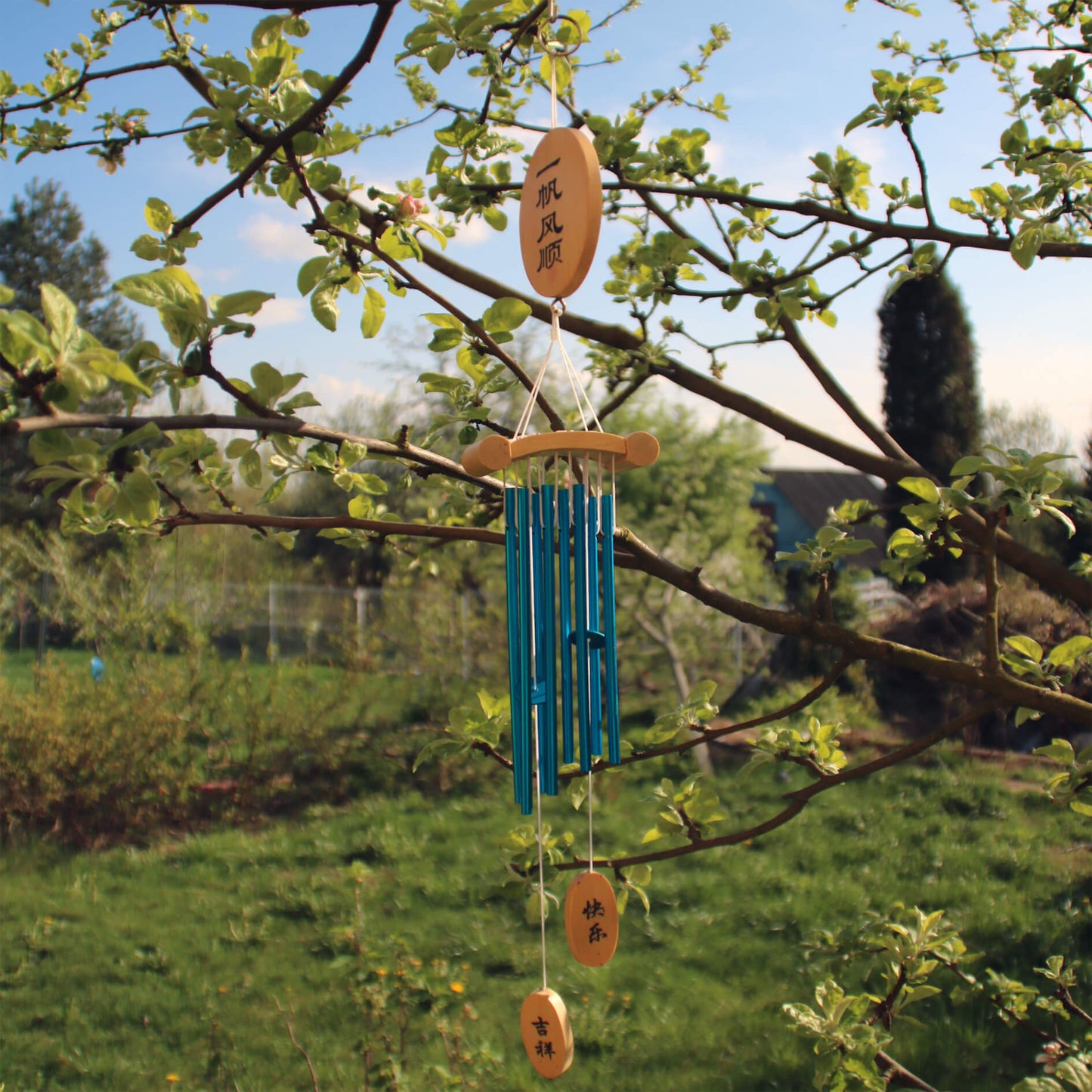 Музыка ветра, синий колокольчик