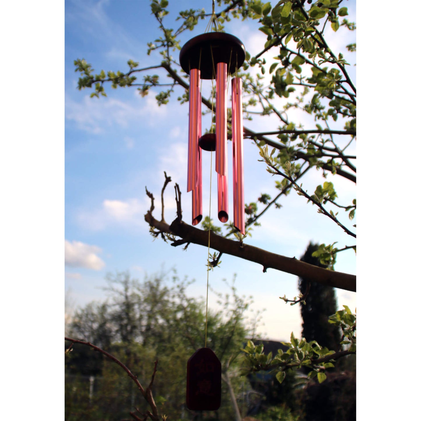 Музыка ветра розового цвета