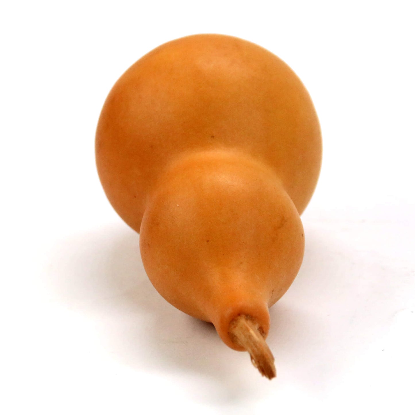 Тыква-горлянка