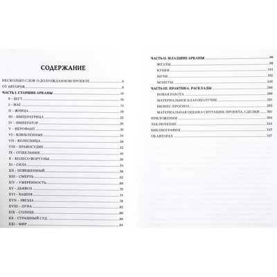 Aleksejus Lobanovas "Nykštukų taro. Verslo atsakymai"