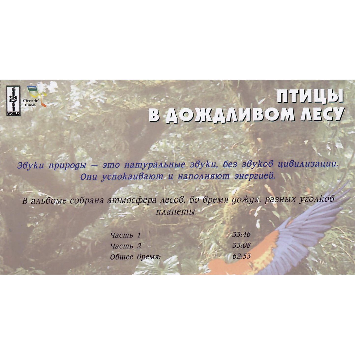 Звуки природы / Птицы в дождливом лесу