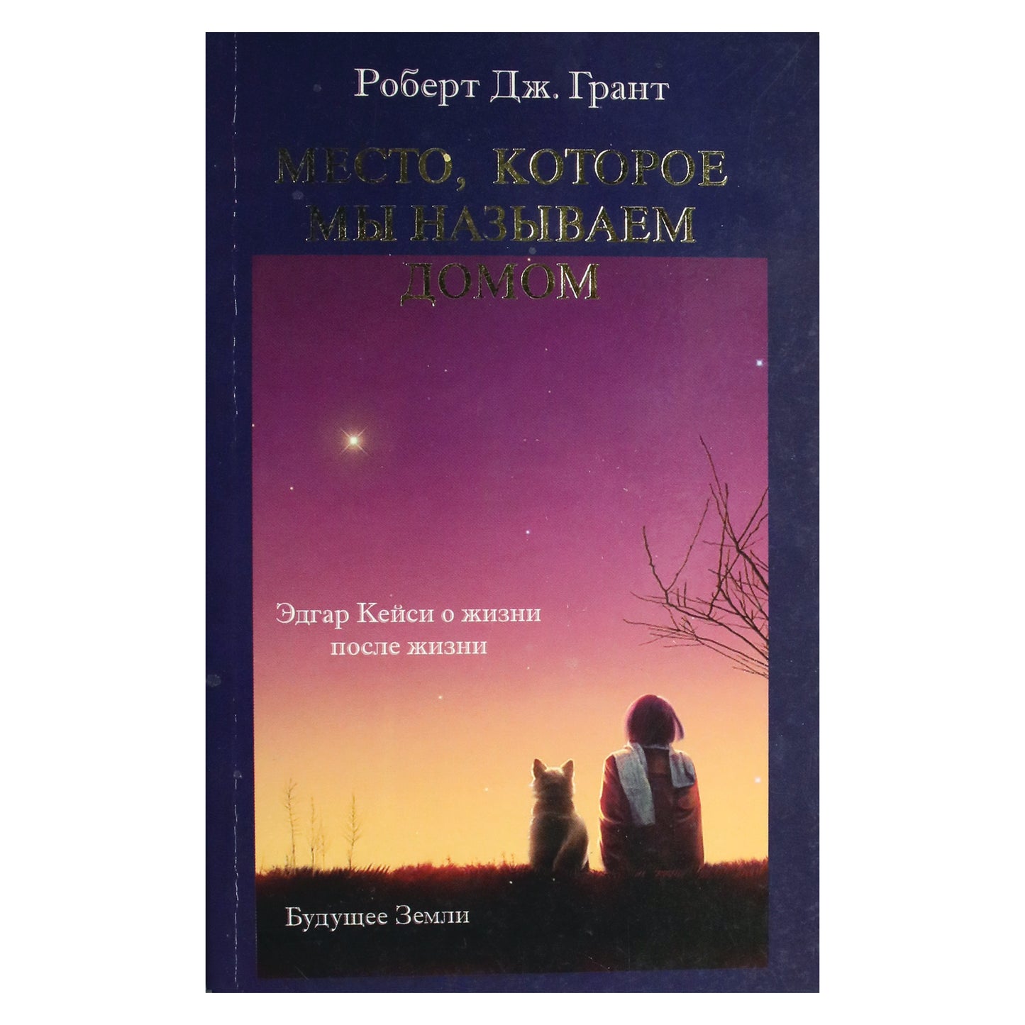 Robertas J. Grantas "Vieta, kurią vadiname namais. Edgaras Cayce'as apie gyvenimą"