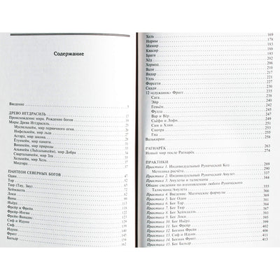 Ксения Меньшикова "Руны и боги. Древние сакральные знания о рунах, богах и мирах, о современной магии и ее тайнах"