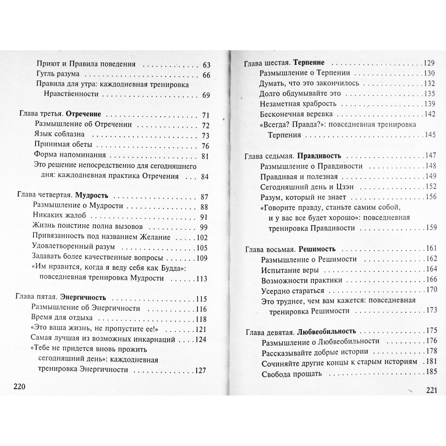 Sylvia Burstein „Dešimt tradicinio budizmo tobulybių“