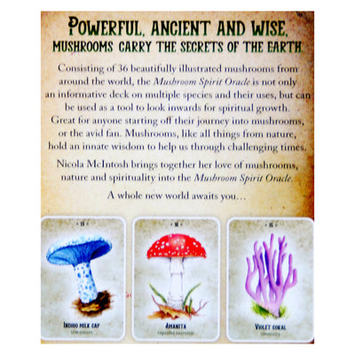 Карты Оракул Грибного Духа