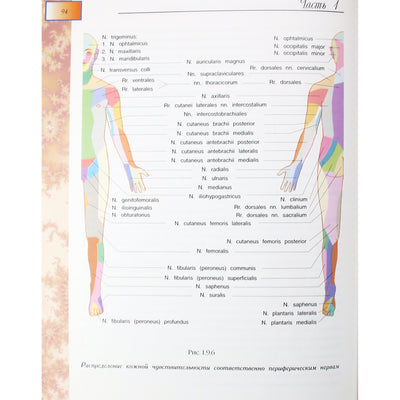 Petr Gaponyuk „Akupunktūros terapijos vadovas“