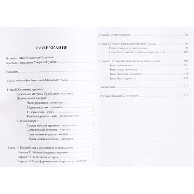 Дмитрий Воронов "Зеркальная Матрица Судьбы. Книга первая: Ключ к пробуждению сознания"