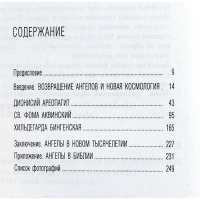 Matthew Fox „Angelų fizika“