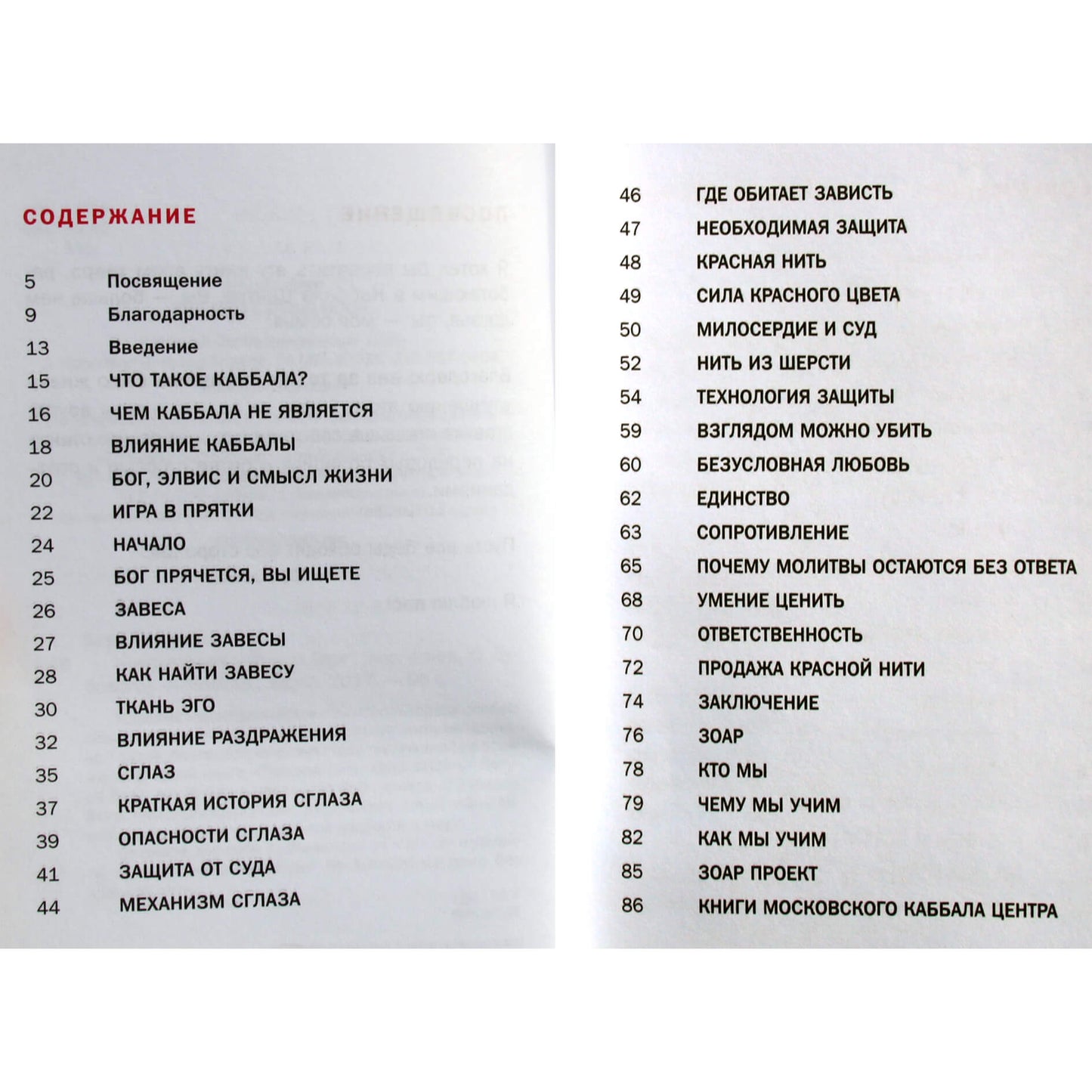 Yehuda Berg „Raudonoji gija“