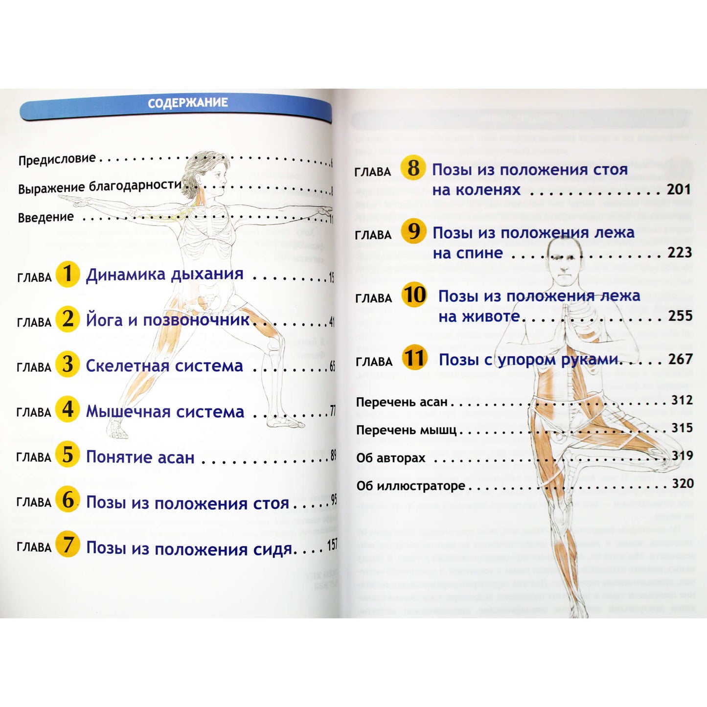 Leslie Kaminoff „Jogos anatomija. Naujas leidimas“ (spalvota knyga)