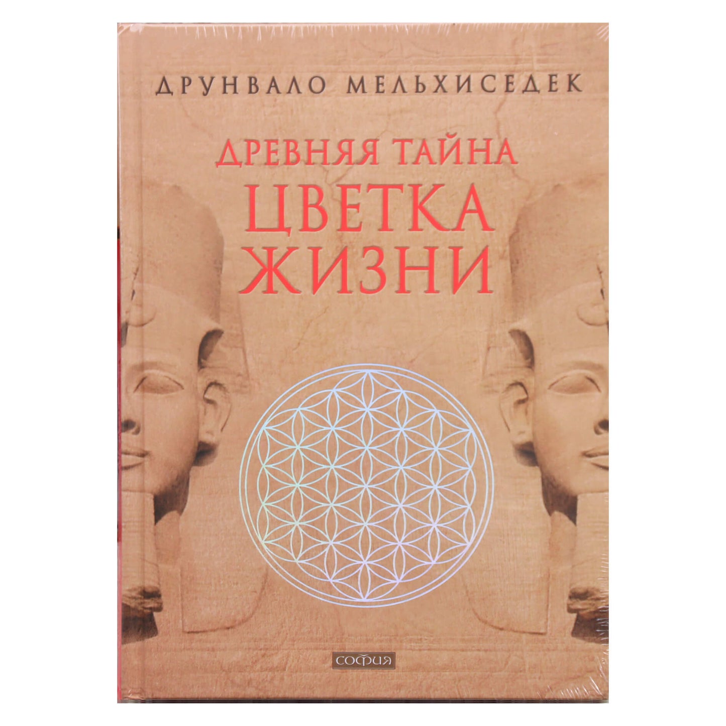 Drunvalo Melchizedeko „Senovės W žiedo paslaptis“. 1+2 knygos