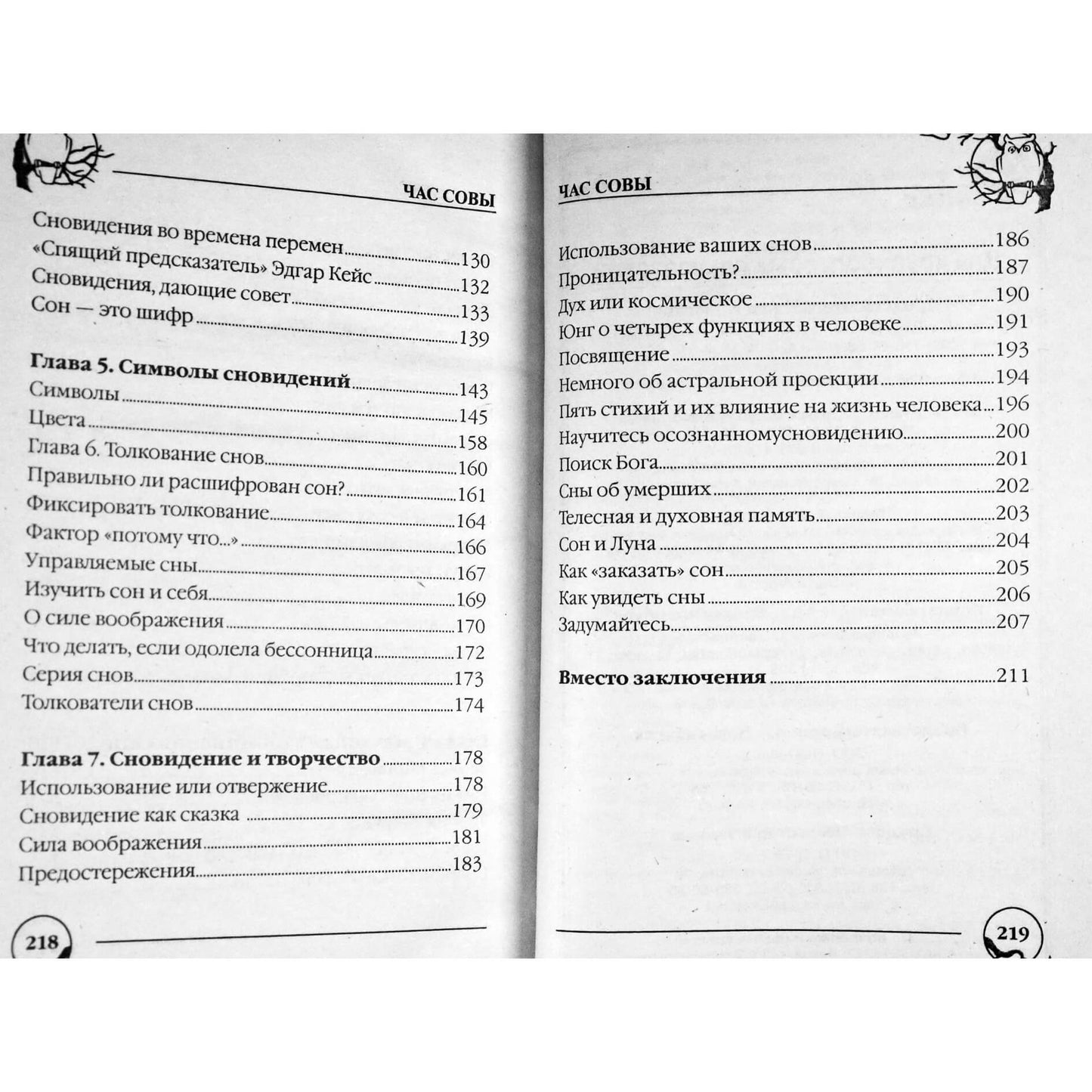 L. I. Slavgorodskajos „Pelėdų valanda: sapnų magijos atradimas“