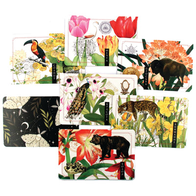 Oracle kortelės Žaliosios magijos raktai. Raganos orakulas / Isabelle Morris