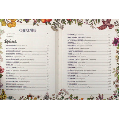 Maya Toll „Stebuklingas herbariumas: įkvepiančios žinutės ir ritualai iš 36 stebuklingų augalų (orakulų knyga ir 36 būrimo kortelės)“