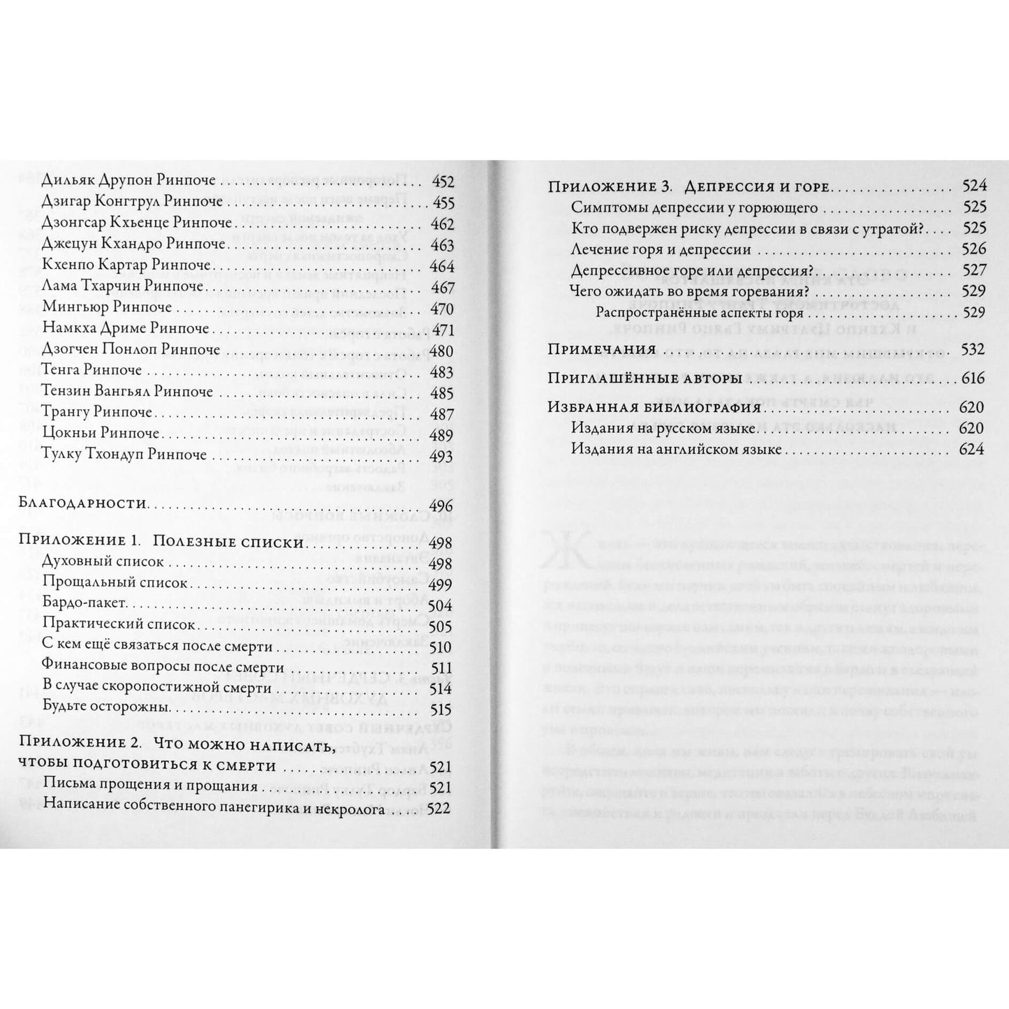 Andrew Holecek „Mirties link“