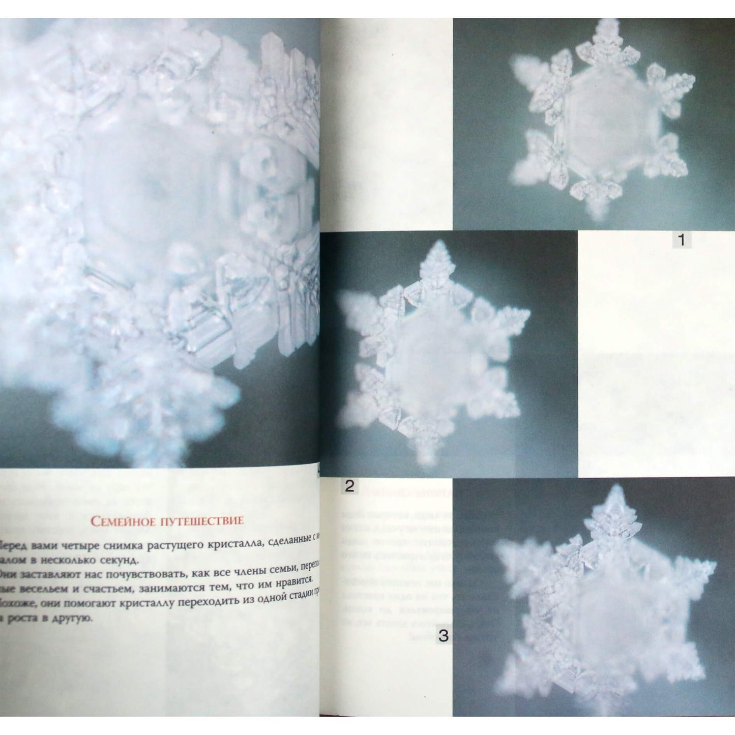 Masaru Emoto „Vandens žinia. Gyvybės kristalai“