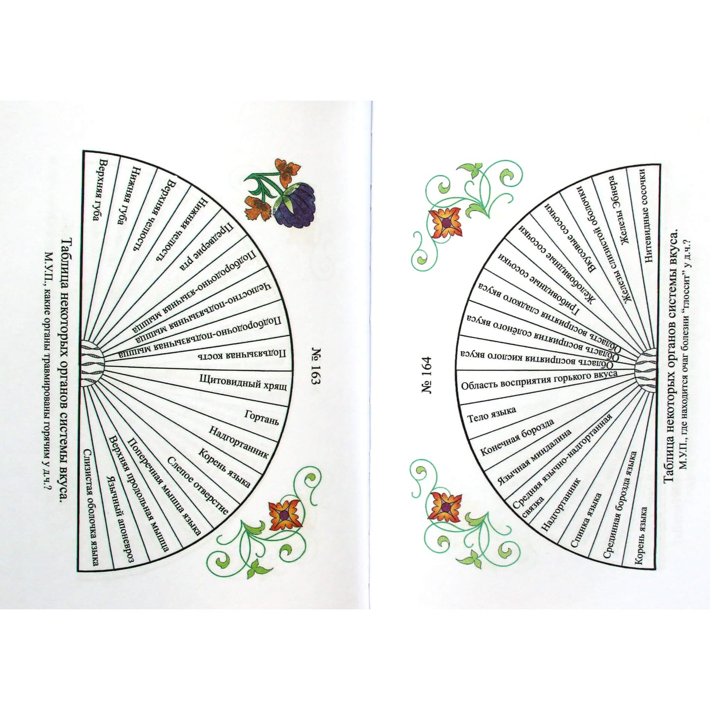 Igoris Barzmanas „Stebuklingas gydymas“