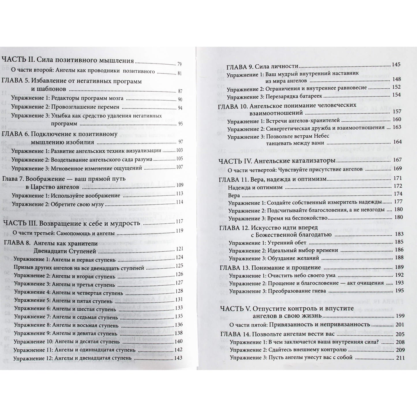 Terri Lynn Taylor „Vilties angelai sargai“