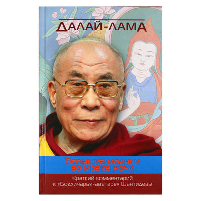Dalai Lama „Žaibo blyksnis nakties tamsoje“