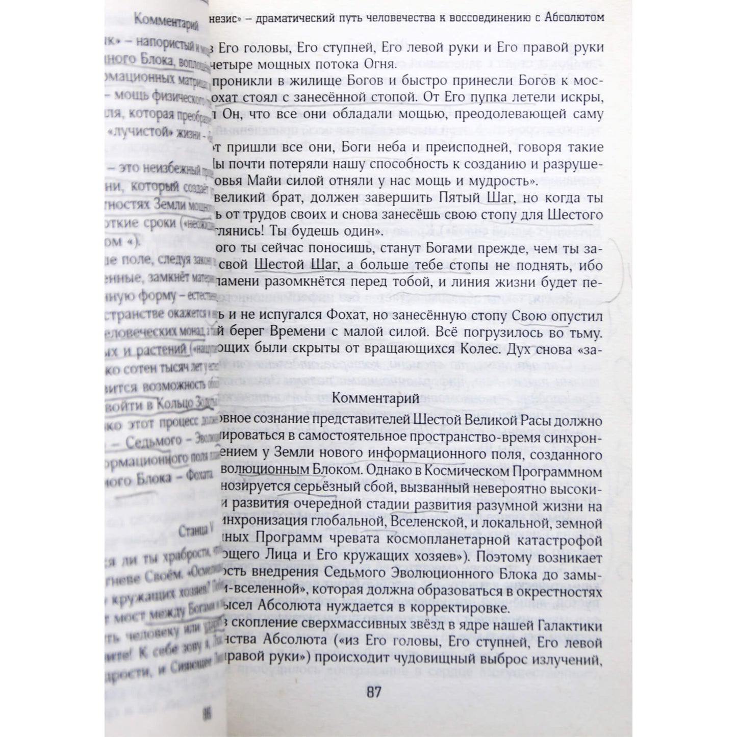Владимир Стрелецкий "Откровения о будущем. Настольная книга начинающего пророка"