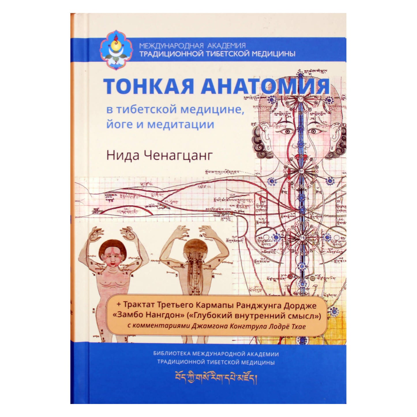 Нида Ченагцанг "Тонкая анатомия в тибетской медицине, йоге и медитации. Ключ к энергетической структуре человека"