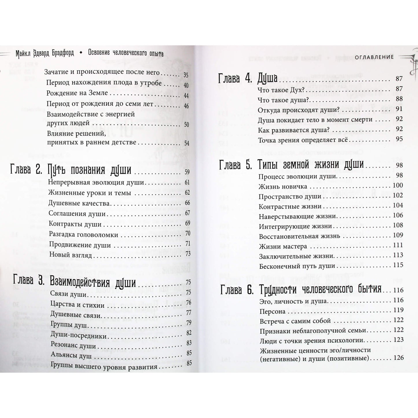 Майкл Эдвард Брэдфорд "Освоение человеческого опыта"