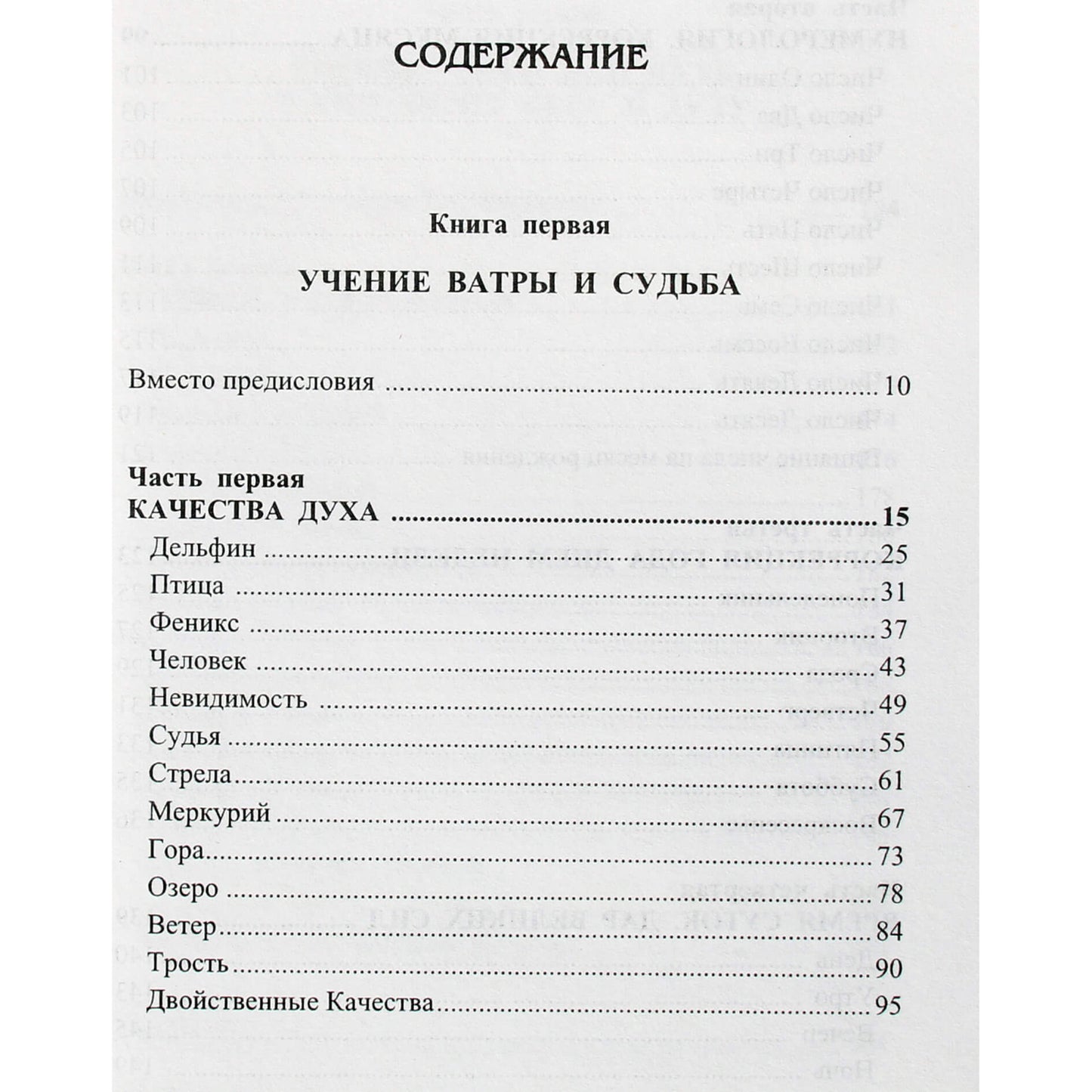 Mirna Amon "Vatros mokymai. Likimas ir savirealizacijos kelias"