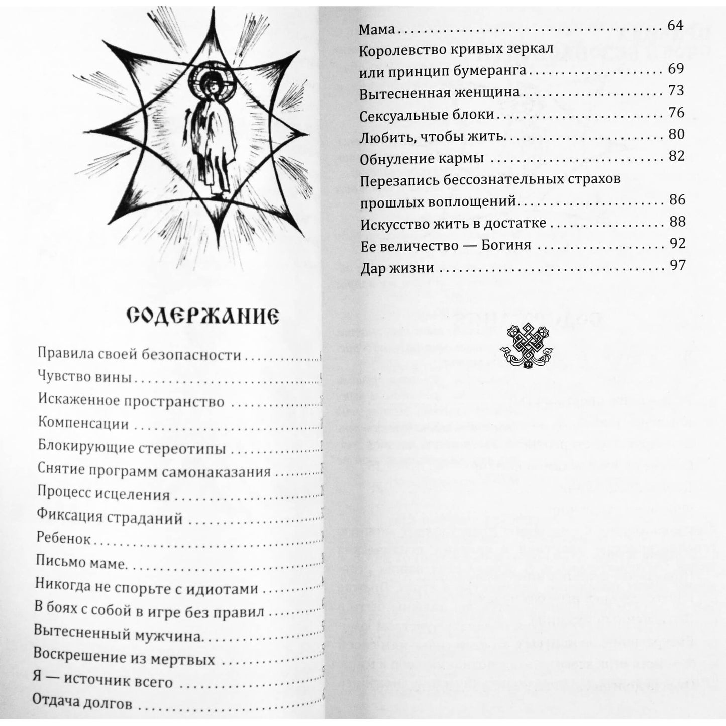 Роман Доля "Отраженная Вселенная. Теория и практика постижения себя"