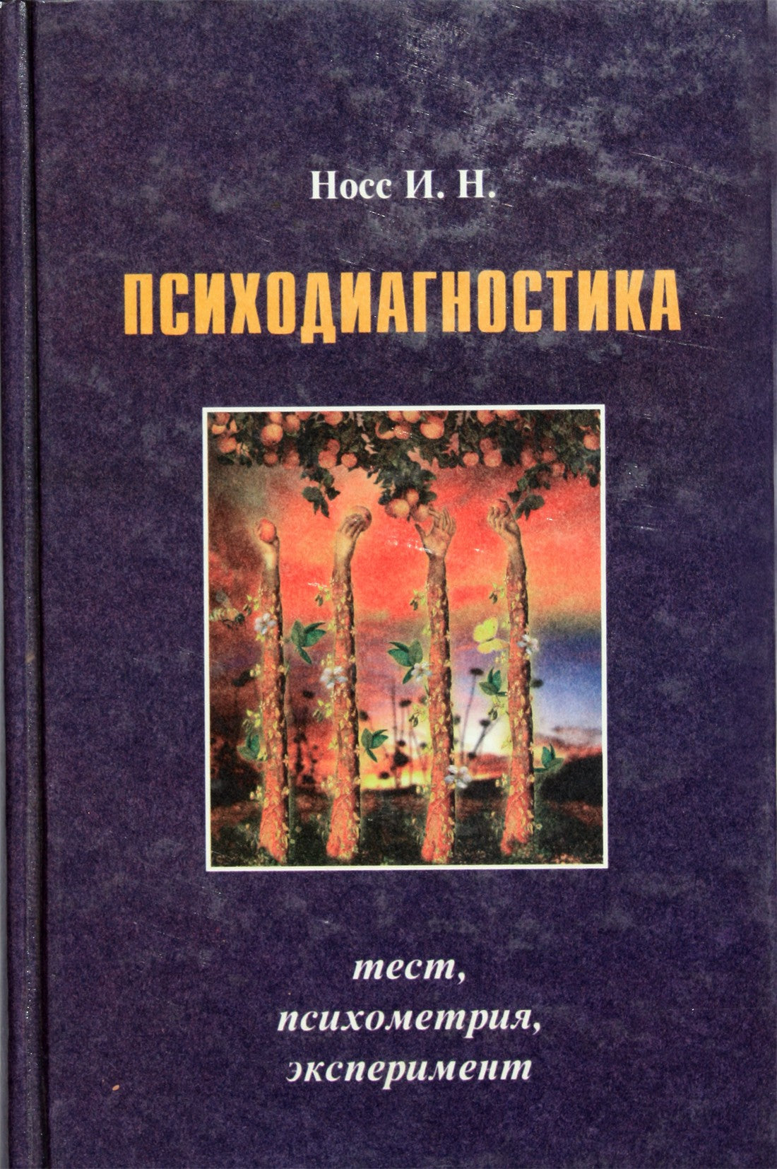 Igoris Nossas "Psichodiagnostika. Testas, psichometrija. eksperimentas"