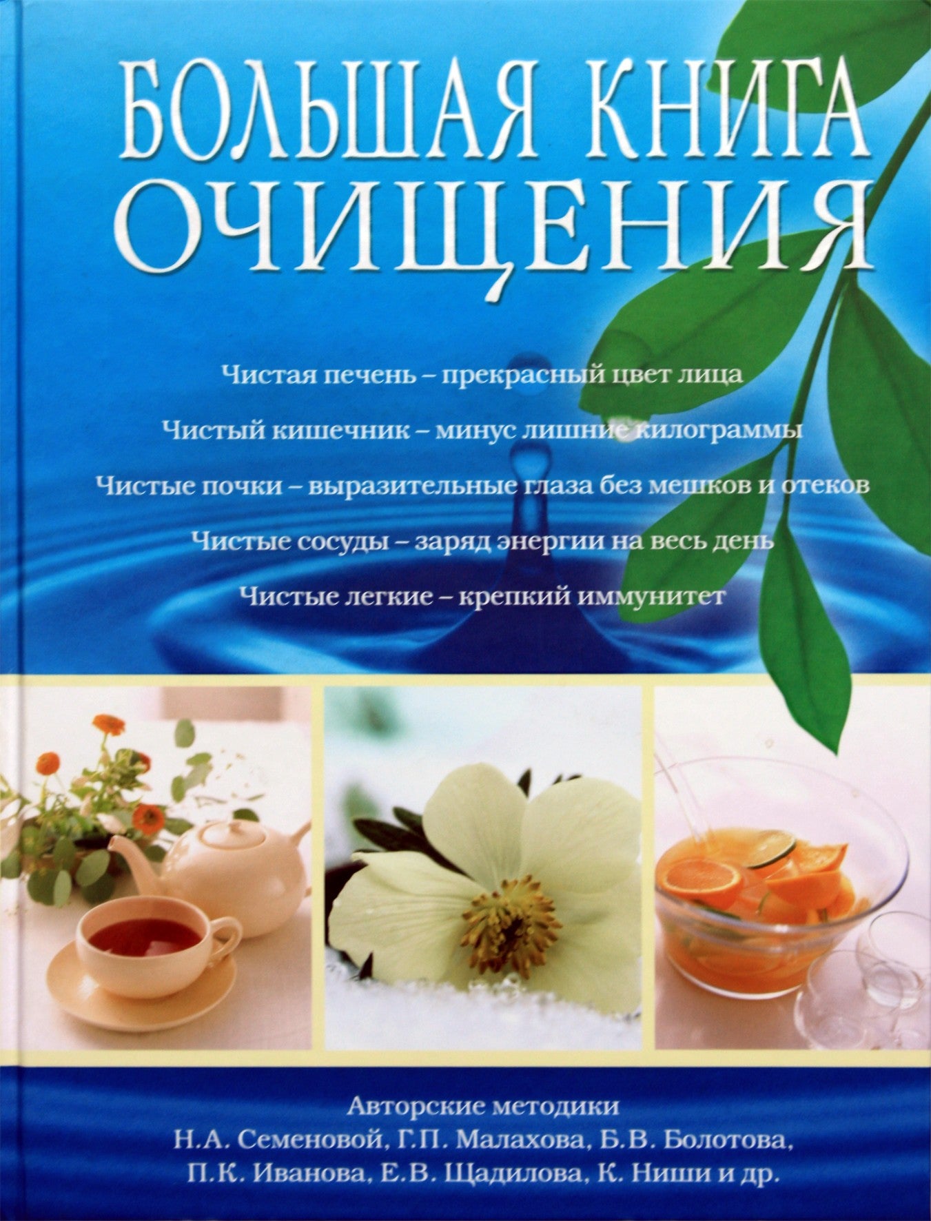 Elena Demina „Didžioji valymo knyga“