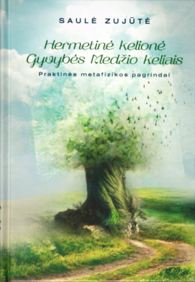 Зуйюте "Герметическое путешествие путями Древа Жизни"